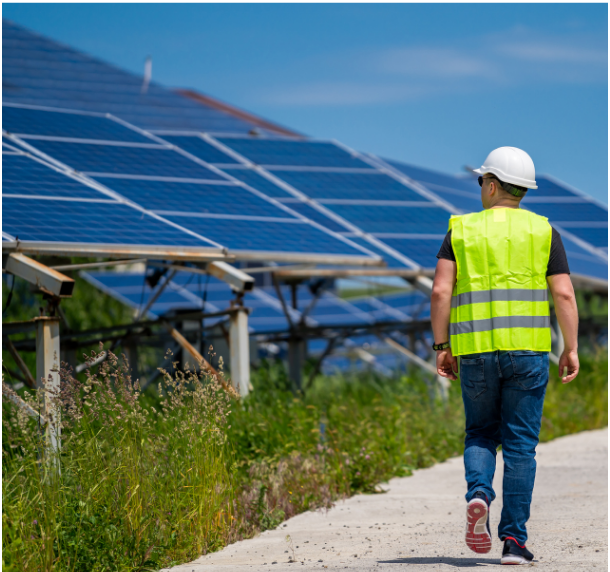 Ambiente e sosteniibilit&aacute;